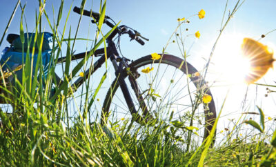 Radwege